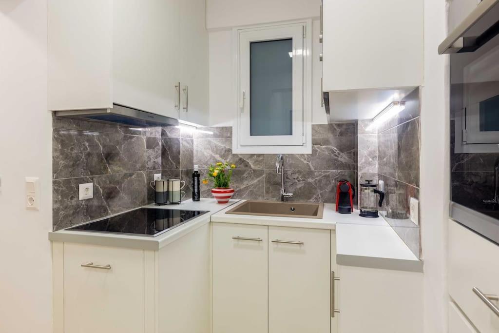 A Newly Fully Renovated Athens